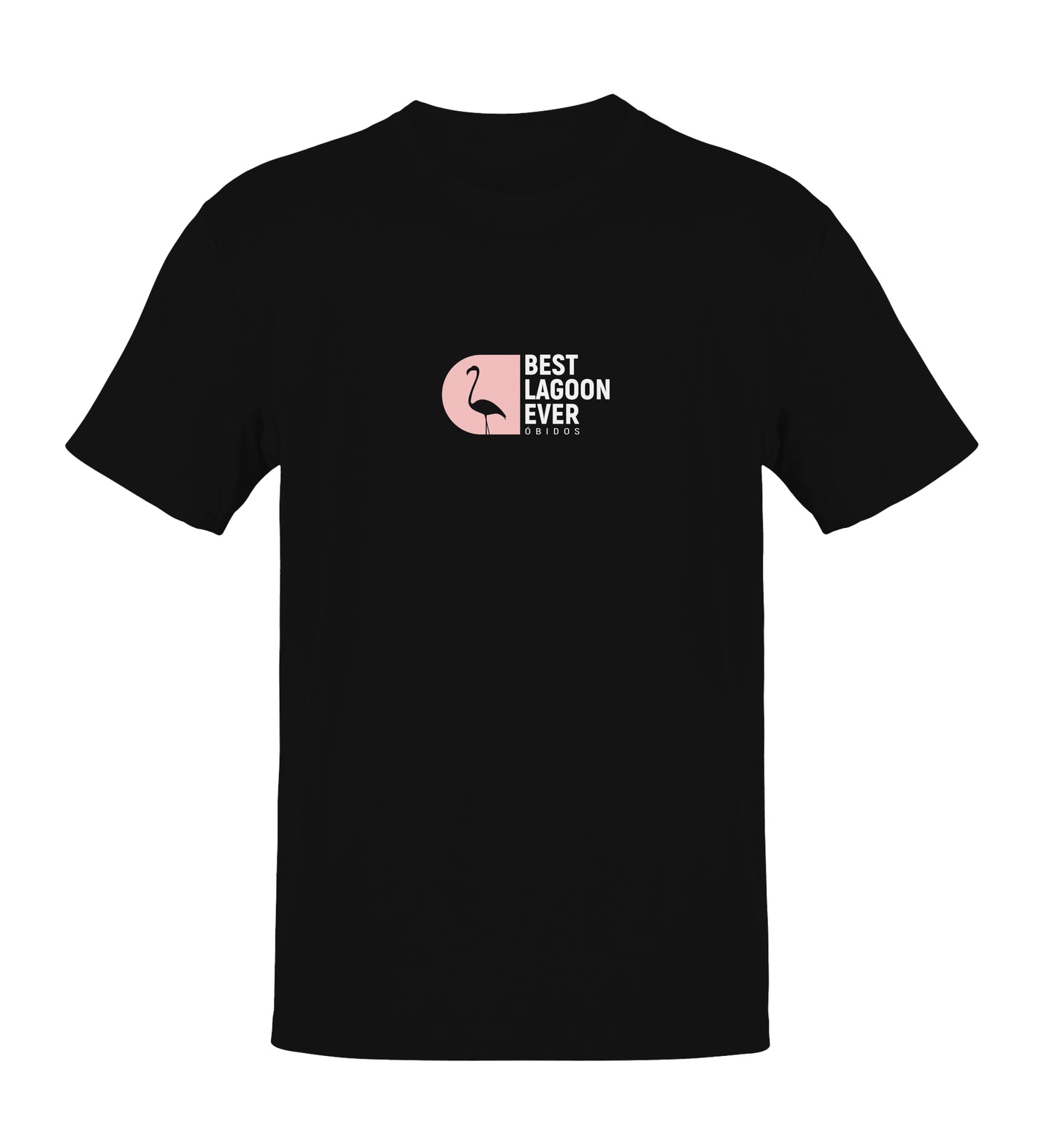 Camiseta Best Lagoon Ever - Flamingo