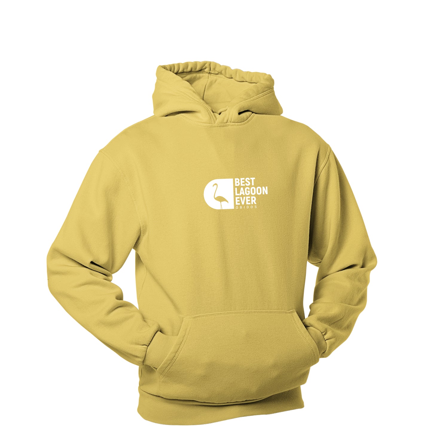 Best Lagoon Ever Flamingo Hoodie