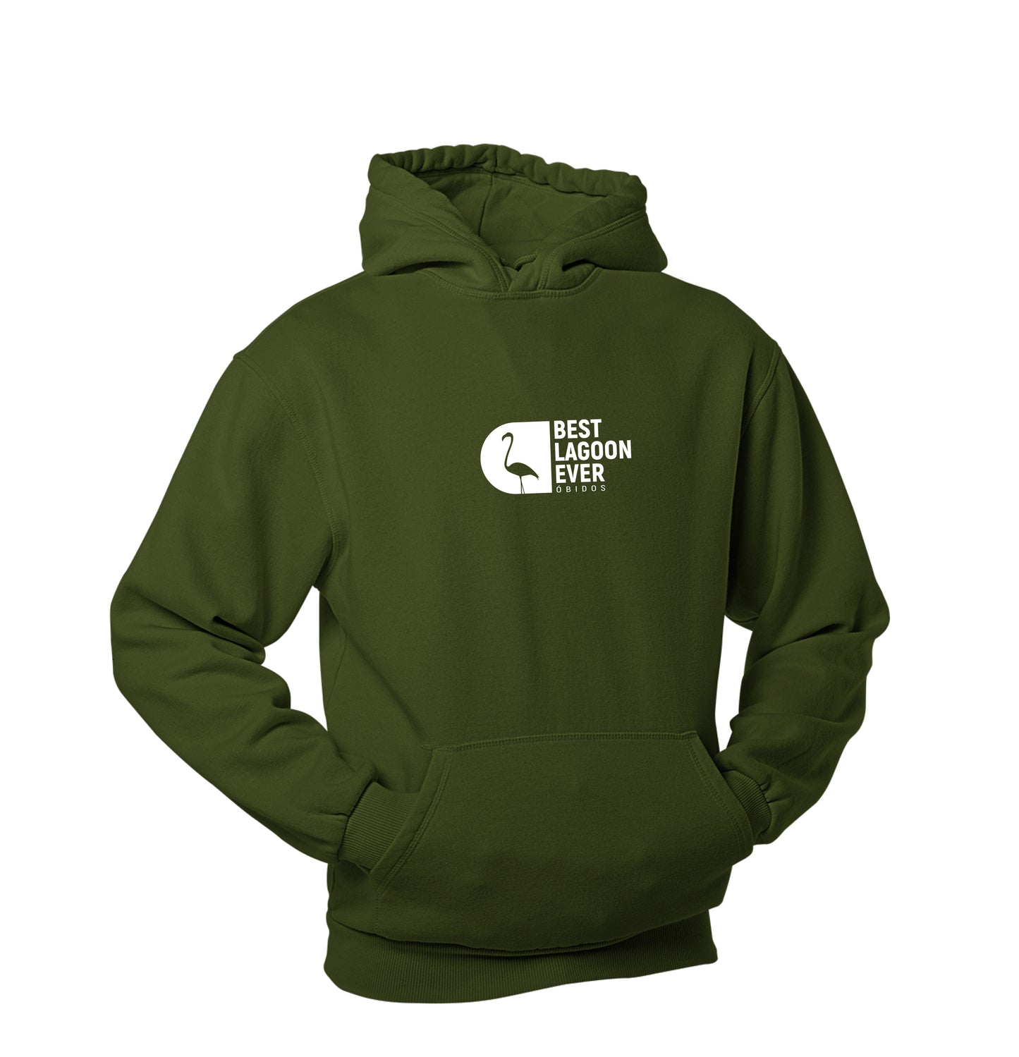 Best Lagoon Ever Flamingo Hoodie