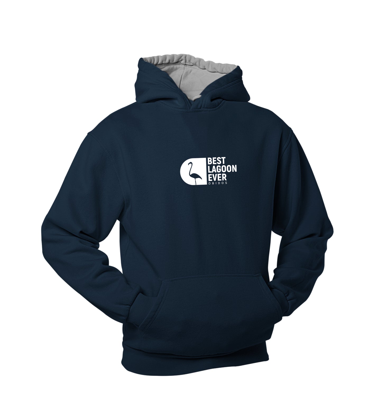 Best Lagoon Ever Flamingo Hoodie