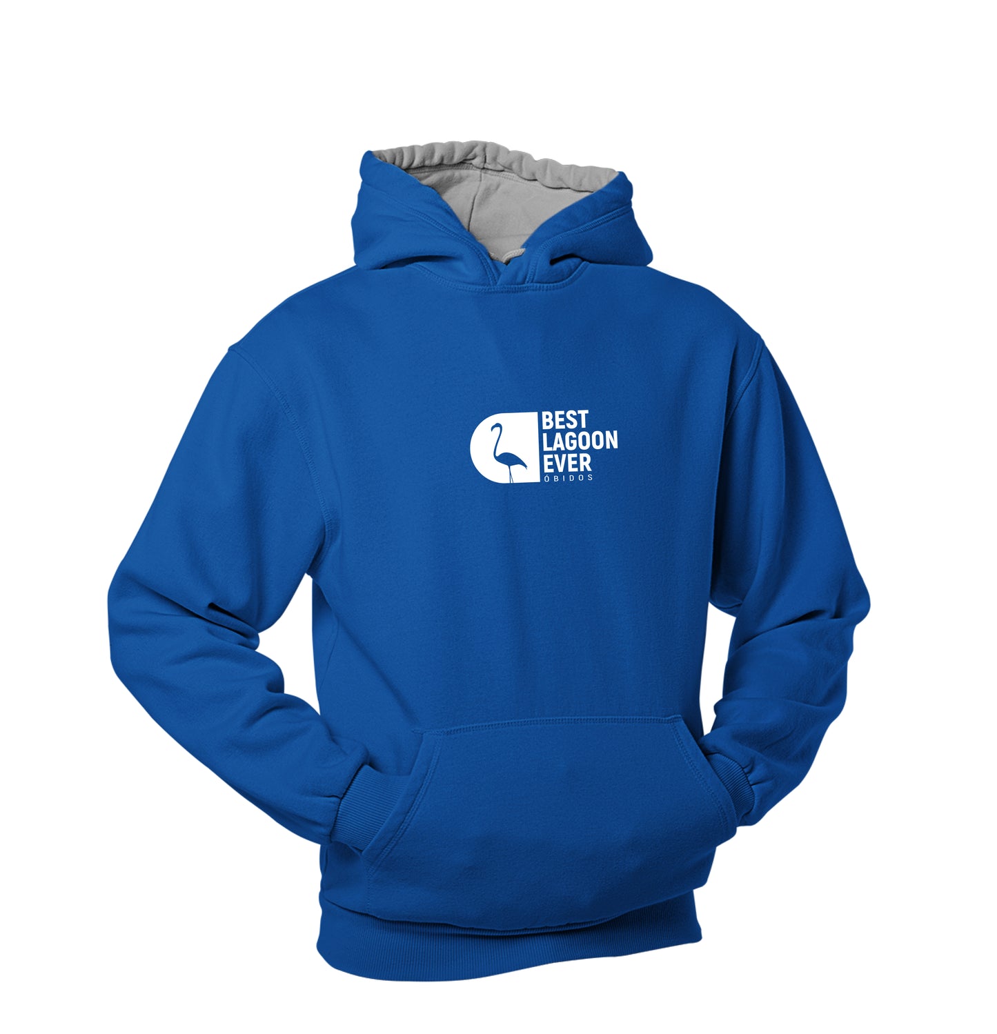 Best Lagoon Ever Flamingo Hoodie